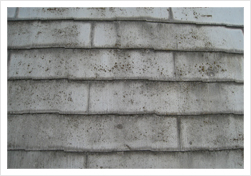 表面の塗膜の剥がれ、コケの付着