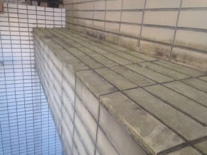 練馬区 一戸建て住宅 タイル洗浄